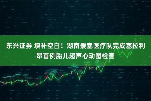 东兴证券 填补空白！湖南援塞医疗队完成塞拉利昂首例胎儿超声心动图检查