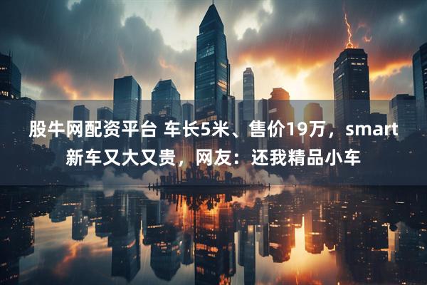 股牛网配资平台 车长5米、售价19万，smart新车又大又贵，网友：还我精品小车